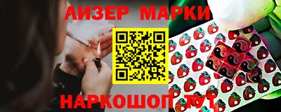 шишки Новодвинск