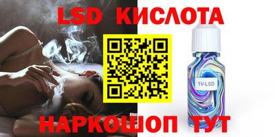 шишки Новодвинск