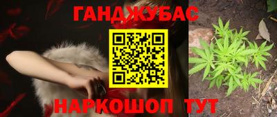 шишки Новодвинск