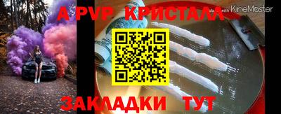 шишки Новодвинск