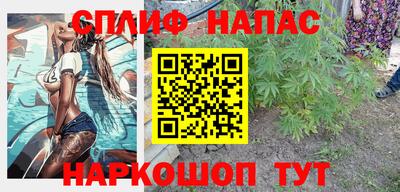 шишки Новодвинск