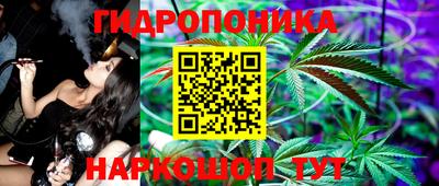 шишки Новодвинск