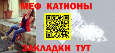 шишки Новодвинск