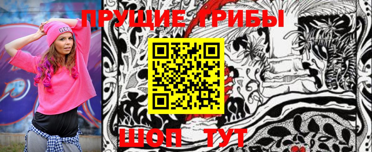 Псилоцибиновые грибы Psilocybine cubensis Трёхгорный